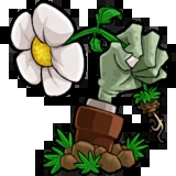 植物大战僵尸 Mod Apk v测试版1.1.3.7772