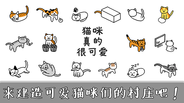 猫咪真的很可爱[图3]