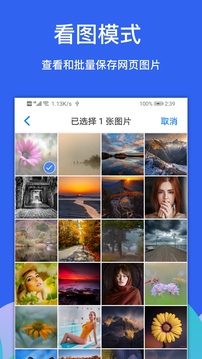 alook浏览器6.3[图2]