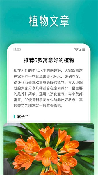 植物大师[图3]