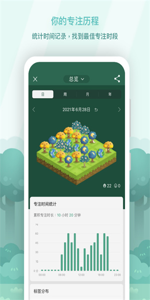 forest专注森林 [图1]