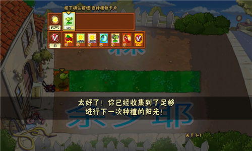 pvz夏版[图1]