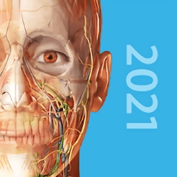 2021人体解剖图谱