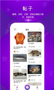 问鱼app[图1]