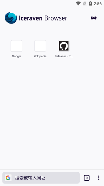 iceraven浏览器下载安装安卓版[图4]