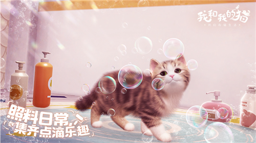 我和我的猫[图1]