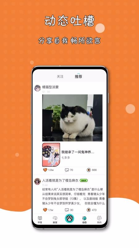 橘子猫[图1]