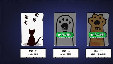 猫咪城市探索行[图2]