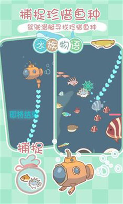 水族物语[图4]