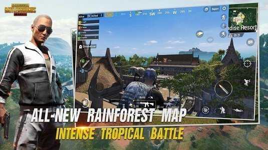 PUBGtool官方画质助手[图2]