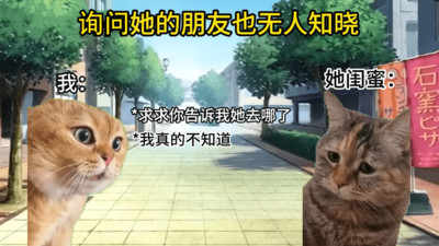 猫meme搞怪冒险[图2]